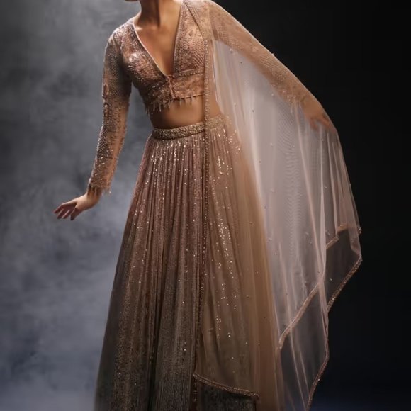 Peach And Silver Ombre Lehenga Embellished In Sequins And Hand Embroidered Choli - Picture 2 of 6